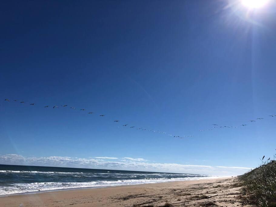 Zen Beach Retreat - Ocean View Townhouse -No Drive Beach New Smyrna Beach Eksteriør bilde