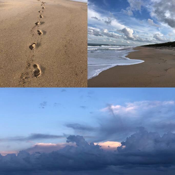 Zen Beach Retreat - Ocean View Townhouse -No Drive Beach New Smyrna Beach Eksteriør bilde